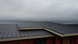 Best Green or Eco-Friendly Roofing Solutions  in Castle Rock, CO